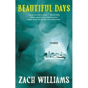 Beautiful Days: Stories -- Zach Williams